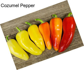 Cozumel Pepper