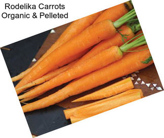 Rodelika Carrots Organic & Pelleted