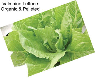 Valmaine Lettuce Organic & Pelleted