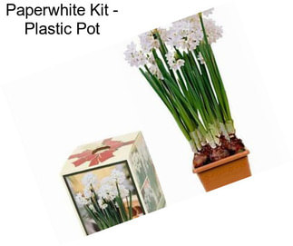 Paperwhite Kit - Plastic Pot