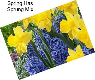 Spring Has Sprung Mix