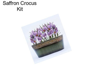 Saffron Crocus Kit