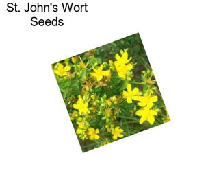 St. John\'s Wort Seeds