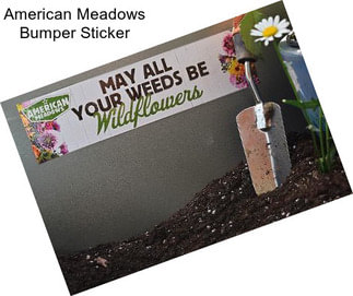 American Meadows Bumper Sticker