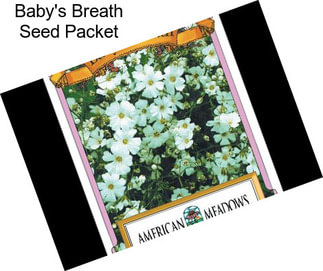 Baby\'s Breath Seed Packet