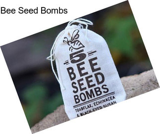 Bee Seed Bombs