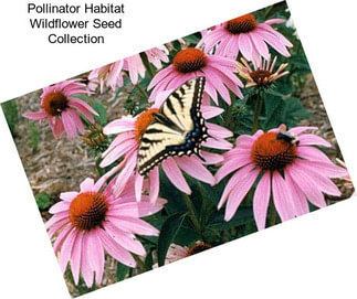 Pollinator Habitat Wildflower Seed Collection