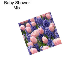 Baby Shower Mix