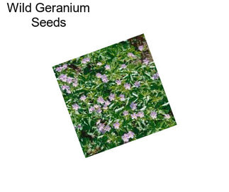 Wild Geranium Seeds