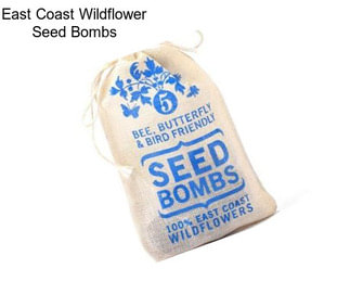 East Coast Wildflower Seed Bombs