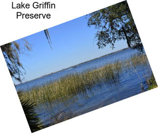 Lake Griffin Preserve