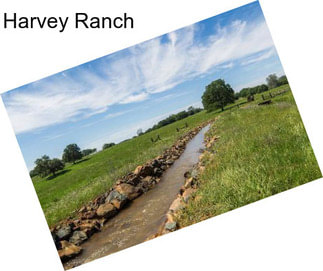 Harvey Ranch