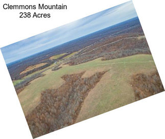 Clemmons Mountain 238 Acres