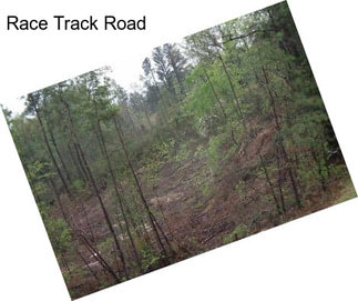 Race Track Road