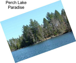 Perch Lake Paradise