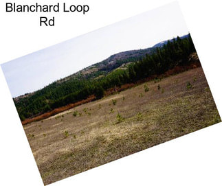 Blanchard Loop Rd