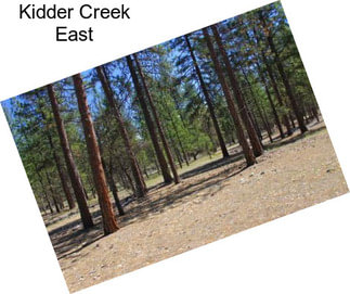 Kidder Creek East