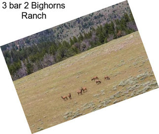 3 bar 2 Bighorns Ranch