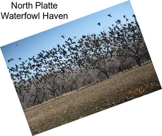 North Platte Waterfowl Haven