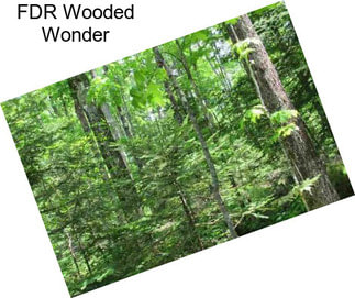 FDR Wooded Wonder