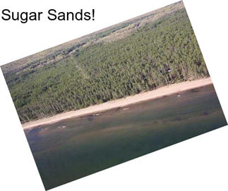 Sugar Sands!