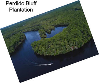 Perdido Bluff Plantation