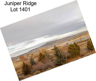 Juniper Ridge Lot 1401