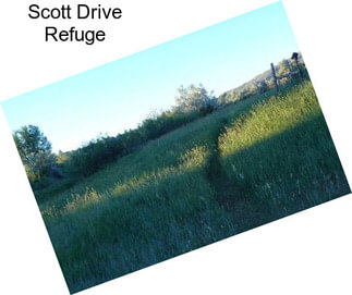 Scott Drive Refuge