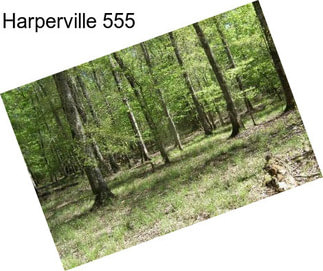 Harperville 555