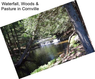 Waterfall, Woods & Pasture in Cornville