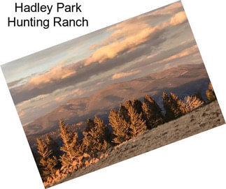 Hadley Park Hunting Ranch