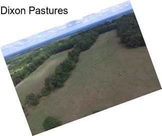 Dixon Pastures