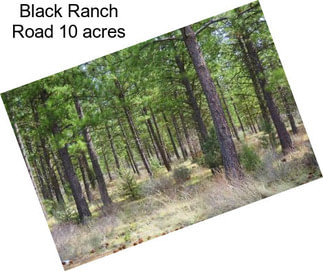 Black Ranch Road 10 acres