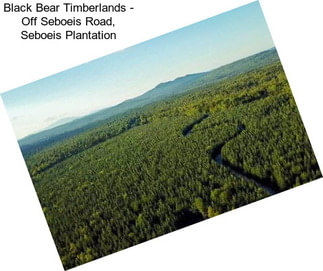 Black Bear Timberlands - Off Seboeis Road, Seboeis Plantation