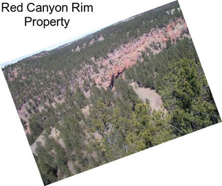 Red Canyon Rim Property