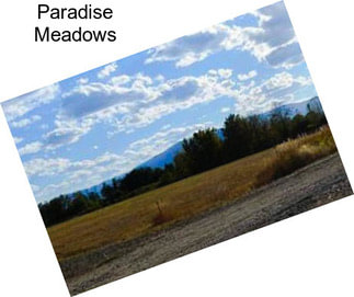 Paradise Meadows