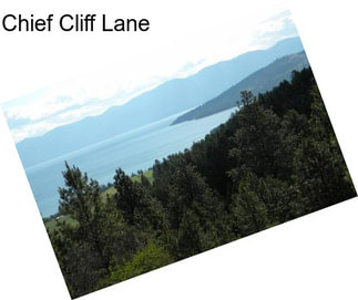 Chief Cliff Lane