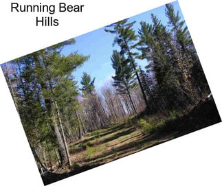 Running Bear Hills