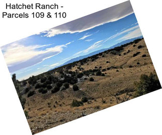 Hatchet Ranch - Parcels 109 & 110