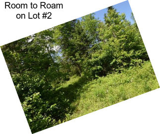 Room to Roam on Lot #2