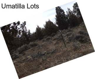 Umatilla Lots