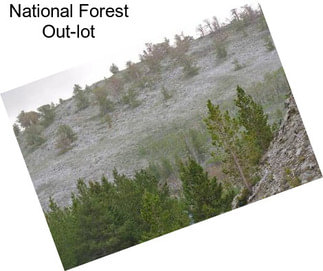 National Forest Out-lot