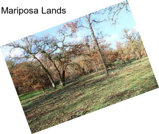 Mariposa Lands