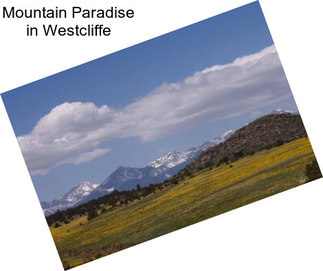 Mountain Paradise in Westcliffe