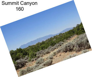 Summit Canyon 160