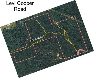 Levi Cooper Road