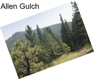 Allen Gulch