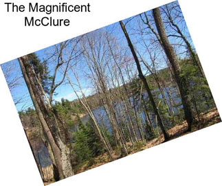 The Magnificent McClure