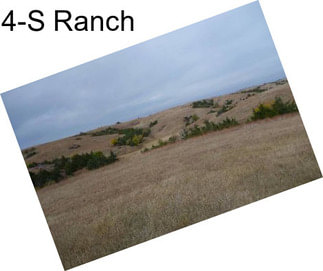 4-S Ranch