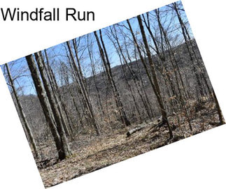 Windfall Run